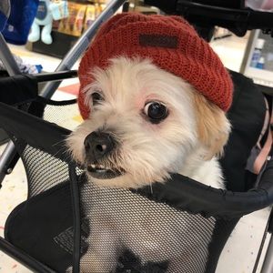 Meet your Posher, Veronica